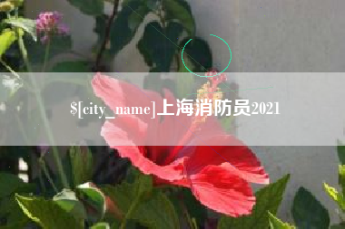 固始上海消防员2021