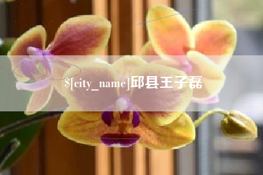 固始邱县王子磊
