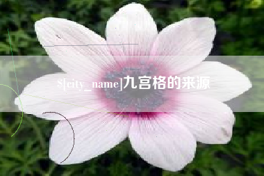 固始九宫格的来源