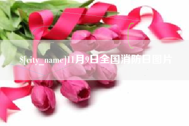 固始11月9日全国消防日图片