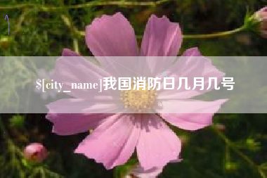 固始我国消防日几月几号