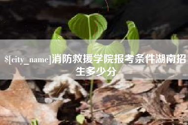固始消防救援学院报考条件湖南招生多少分