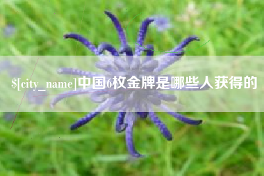 固始中国6枚金牌是哪些人获得的