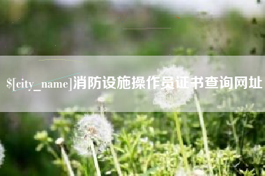 固始消防设施操作员证书查询网址