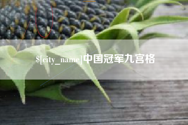固始中国冠军九宫格