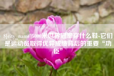 固始5000米世界冠军穿什么鞋-它们是运动员取得优异成绩背后的重要“功臣”