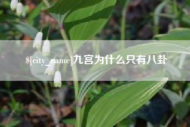 固始九宫为什么只有八卦