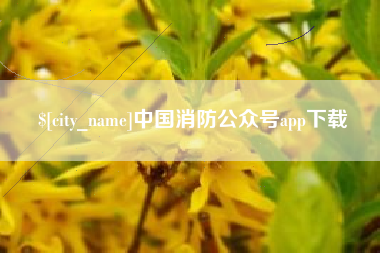 固始中国消防公众号app下载