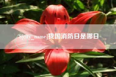 固始我国消防日是哪日