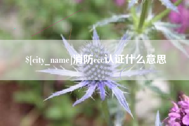 固始消防ccc认证什么意思