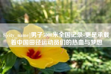 固始男子5000米全国记录-更是承载着中国田径运动员们的热血与梦想
