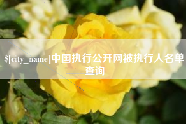固始中国执行公开网被执行人名单查询