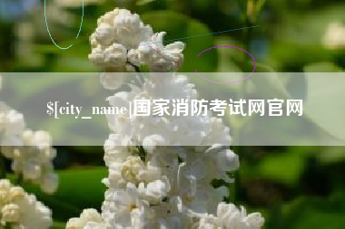 固始国家消防考试网官网