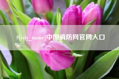 固始中国消防网官网入口