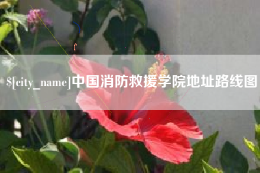 固始中国消防救援学院地址路线图