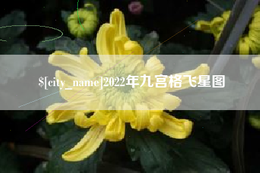 固始2022年九宫格飞星图