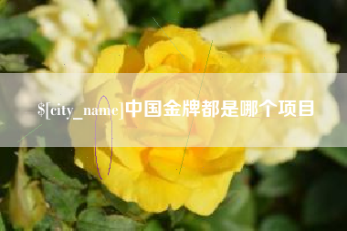 固始中国金牌都是哪个项目