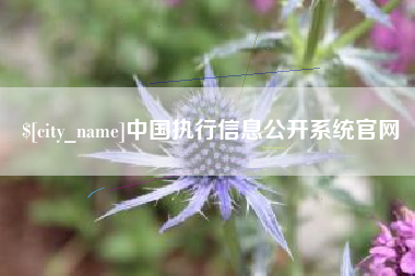 固始中国执行信息公开系统官网
