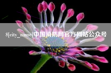 固始中国消防网官方网站公众号