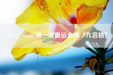 固始第一波奥运金牌“九宫格”