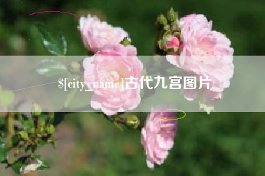 固始古代九宫图片