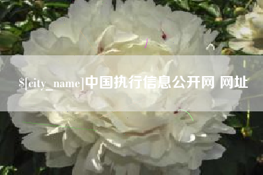 固始中国执行信息公开网 网址