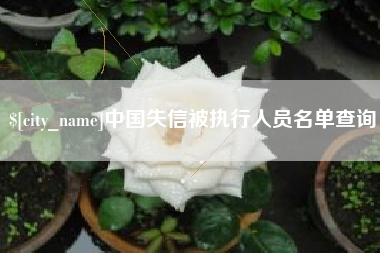 固始中国失信被执行人员名单查询