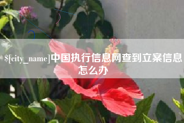 固始中国执行信息网查到立案信息怎么办