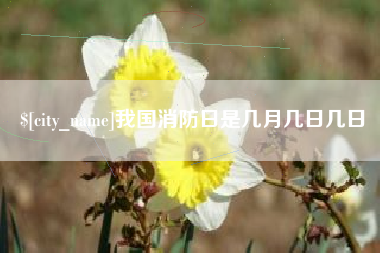 固始我国消防日是几月几日几日