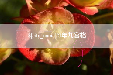固始21年九宫格