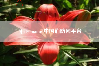 固始中国消防网平台