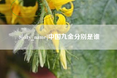 固始中国九金分别是谁