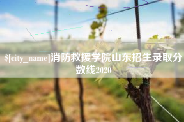 固始消防救援学院山东招生录取分数线2020