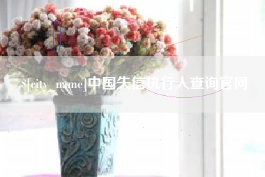 固始中国失信执行人查询官网