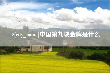 固始中国第九块金牌是什么