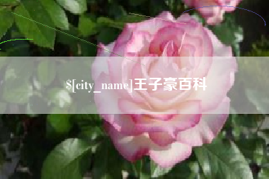 固始王子豪百科