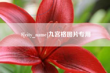 固始九宫格图片专用