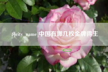 固始中国有哪几枚金牌得主