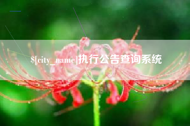固始执行公告查询系统