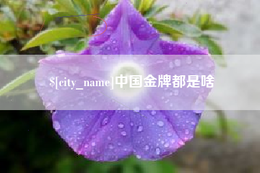 固始中国金牌都是啥