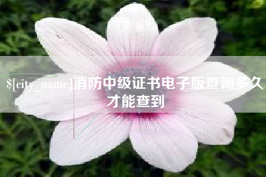 固始消防中级证书电子版查询多久才能查到
