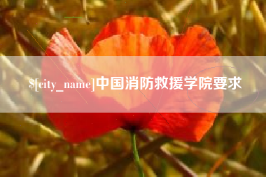 固始中国消防救援学院要求