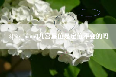 固始九宫星位是定位不变的吗