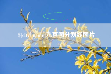 固始九宫图分割线图片