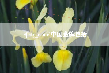 固始中国金牌包括