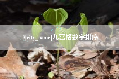 固始九宫格数字排序