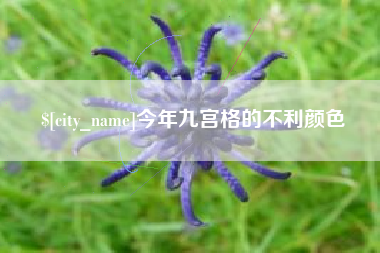 固始今年九宫格的不利颜色