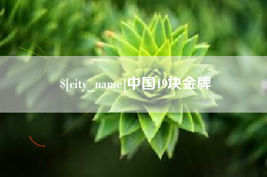 固始中国19块金牌
