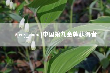 固始中国第九金牌获得者