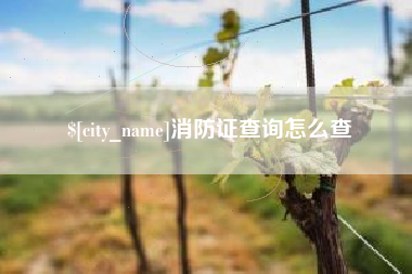 固始消防证查询怎么查